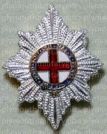 Coldstream Guards Lapel Pin