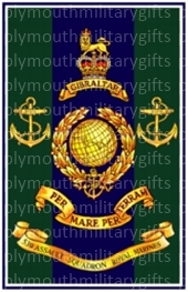 539 Assault Squadron RM Magnet