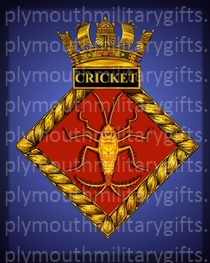 CRICKET