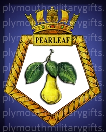 RFA Pearleaf Magnet