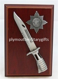 Irish Guards Military Presentation Plaque