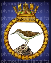 SANDPIPER