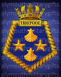 RFA Tidepool Magnet